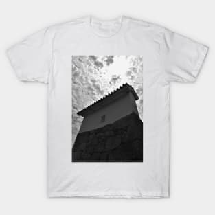 Himeji Castle Wall Detail, Japan T-Shirt